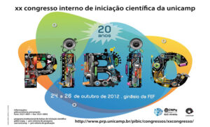 Banner of the XX edition of the Scientific Initiation Congress