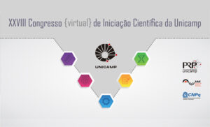 Banner of the XXVIII edition of the Scientific Initiation Congress