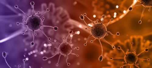 Células virais em 3D